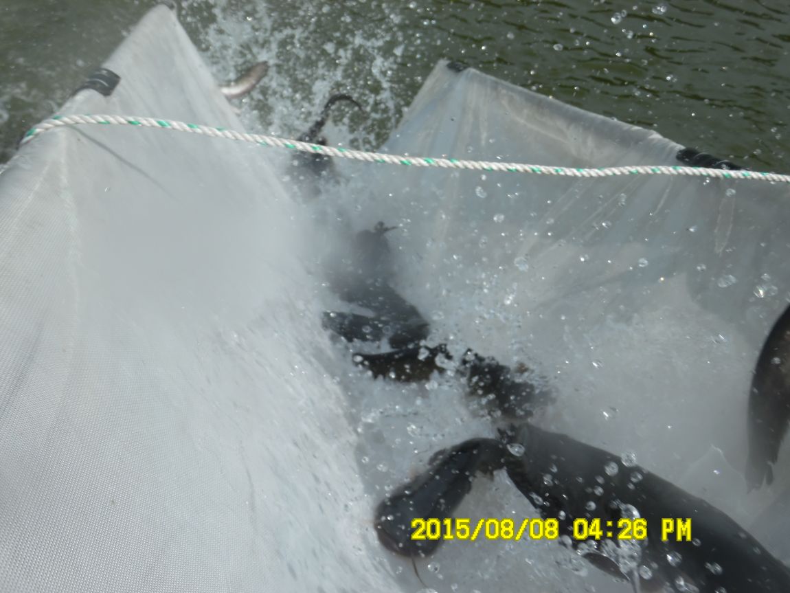 8��7��~9�� 015.JPG