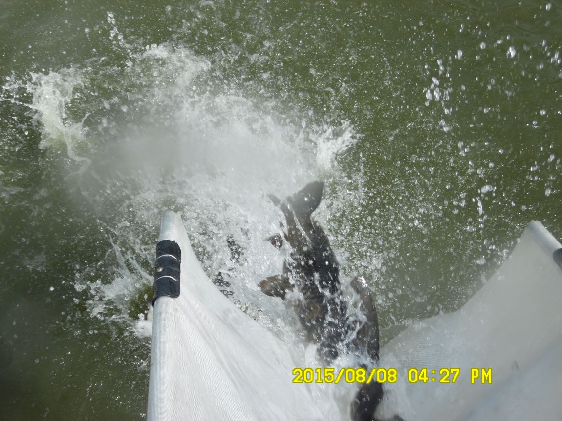 8��7��~9�� 016.JPG