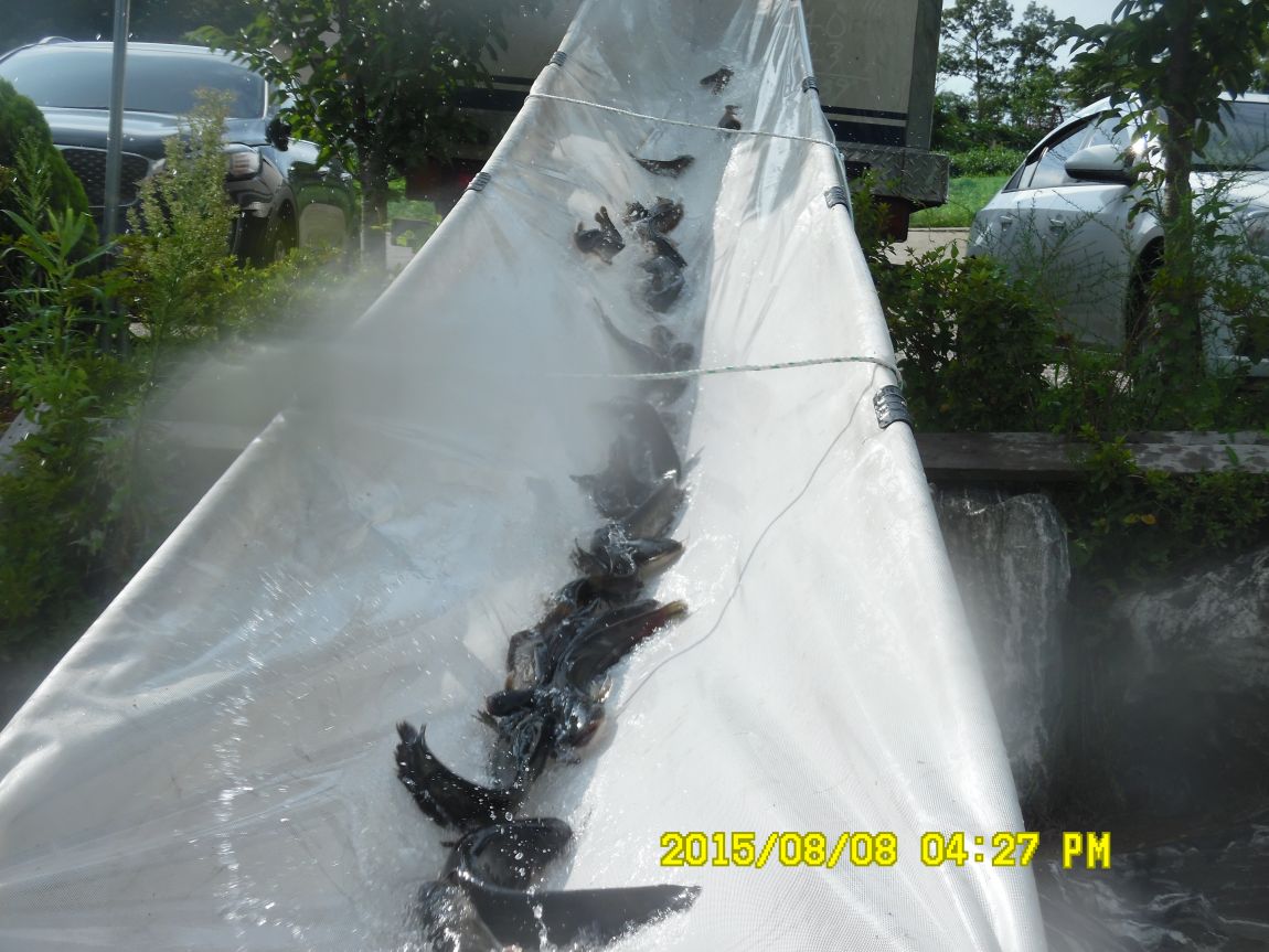 8��7��~9�� 017.JPG