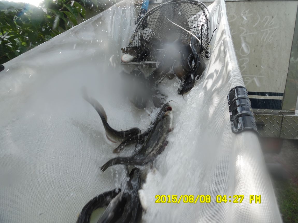 8��7��~9�� 018.JPG