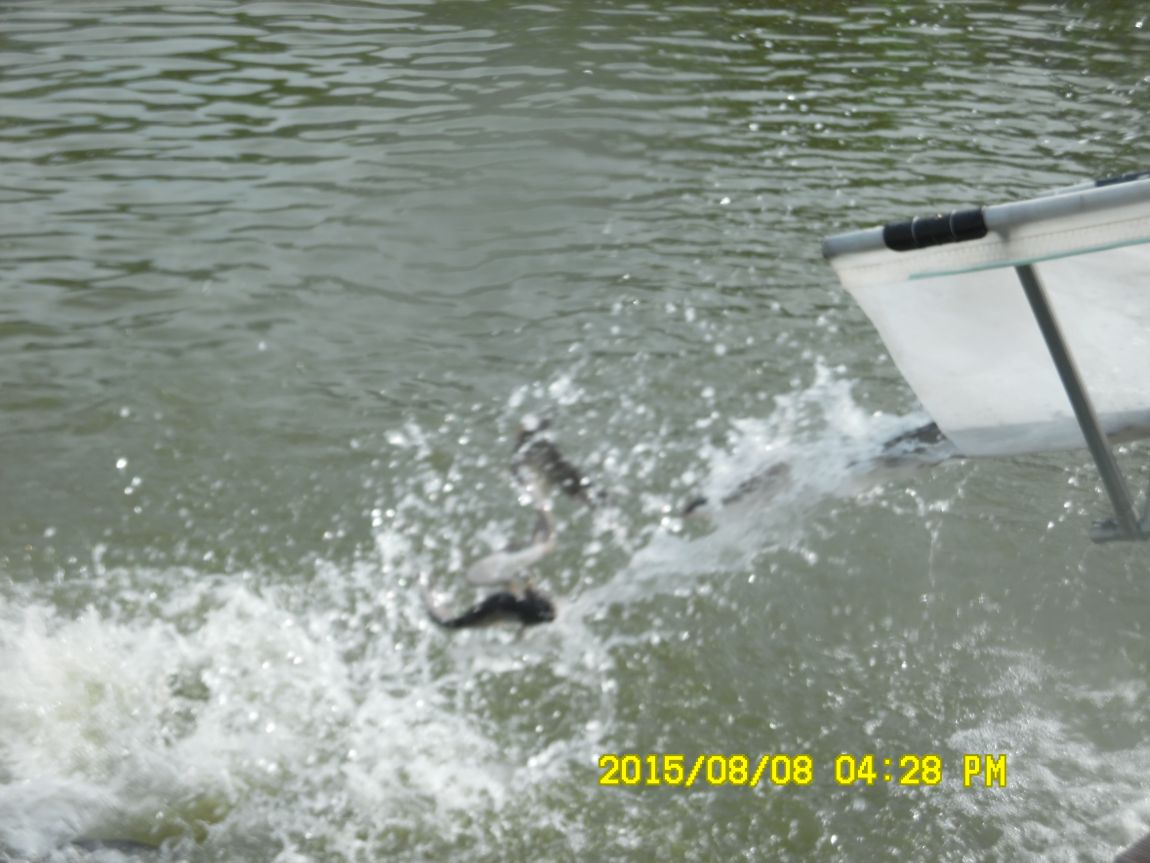 8��7��~9�� 019.JPG