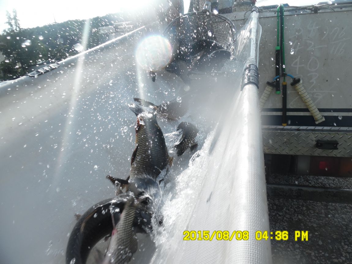 8��7��~9�� 020.JPG