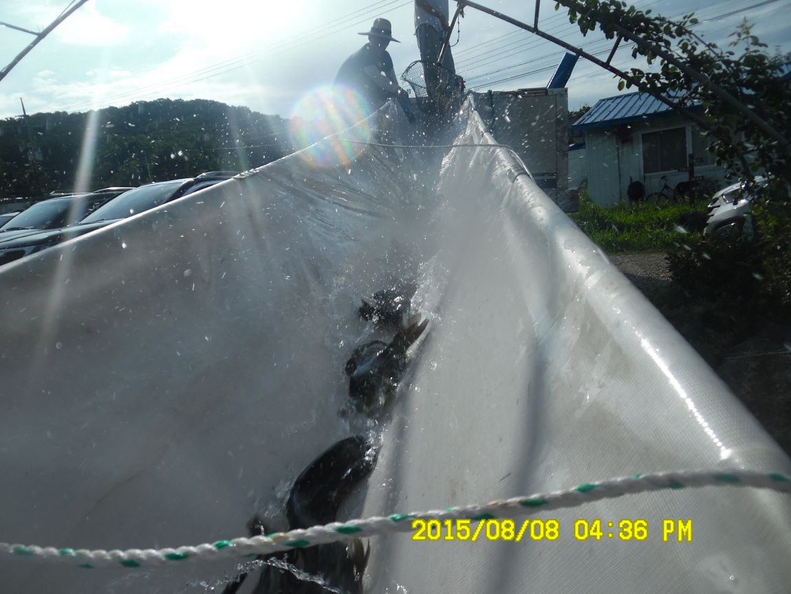 8��7��~9�� 021.JPG