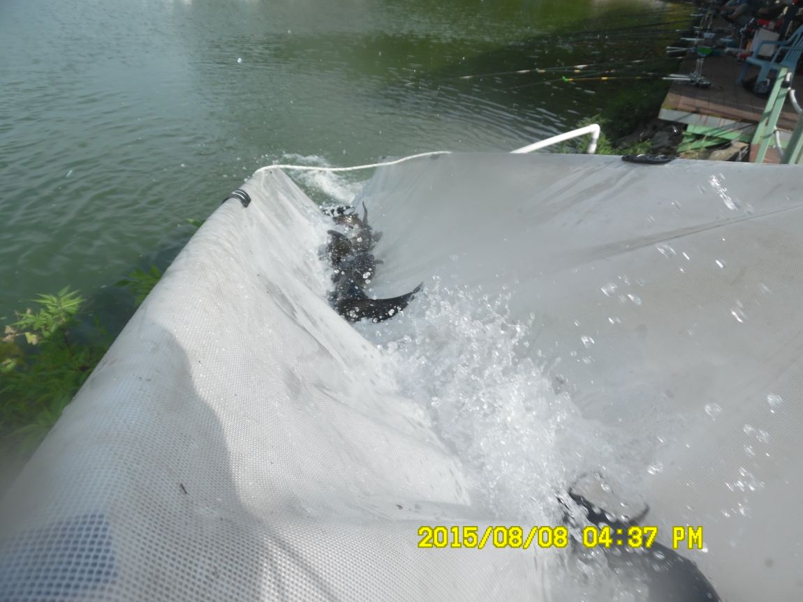 8��7��~9�� 022.JPG