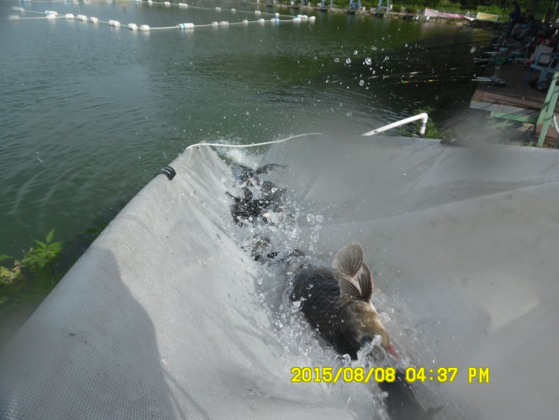 8��7��~9�� 023.JPG