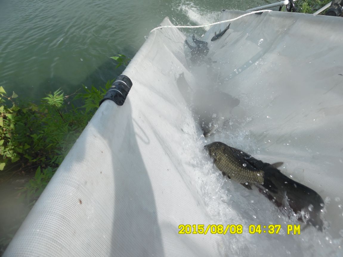 8��7��~9�� 024.JPG