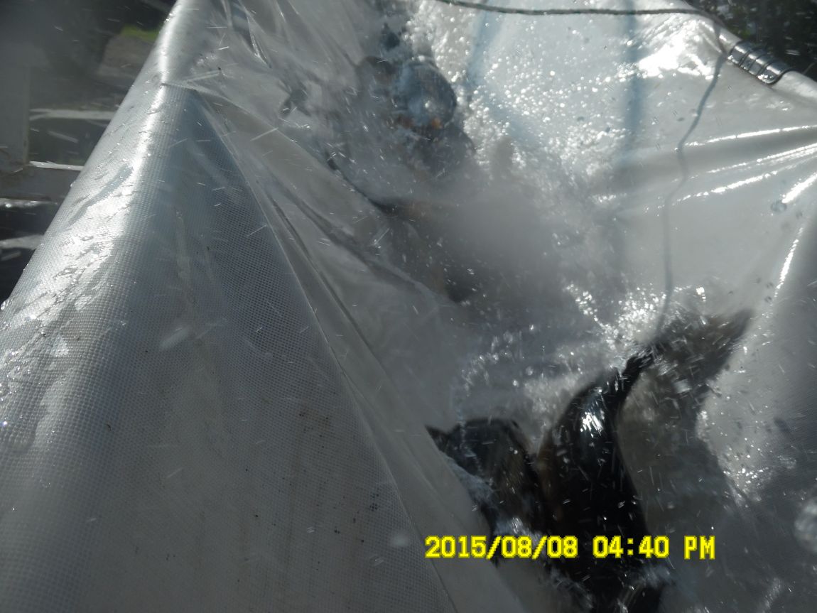 8��7��~9�� 026.JPG