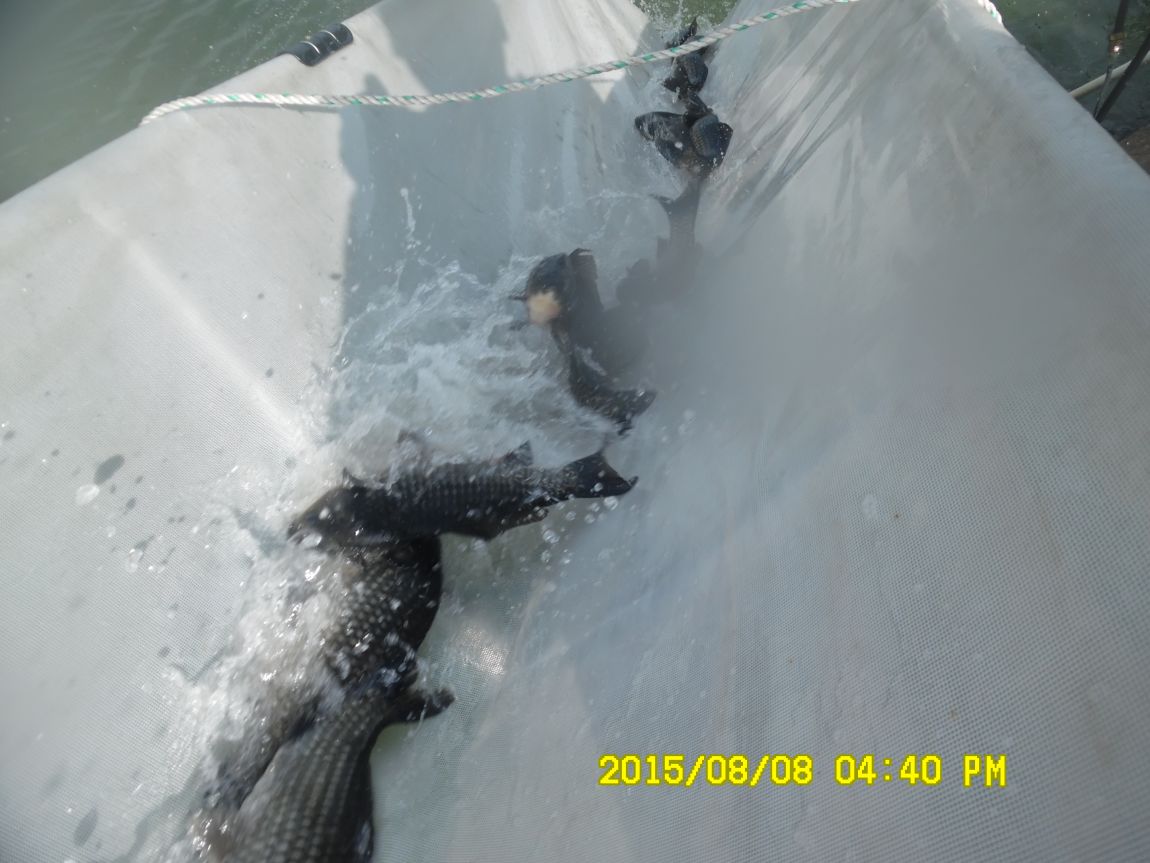 8��7��~9�� 027.JPG