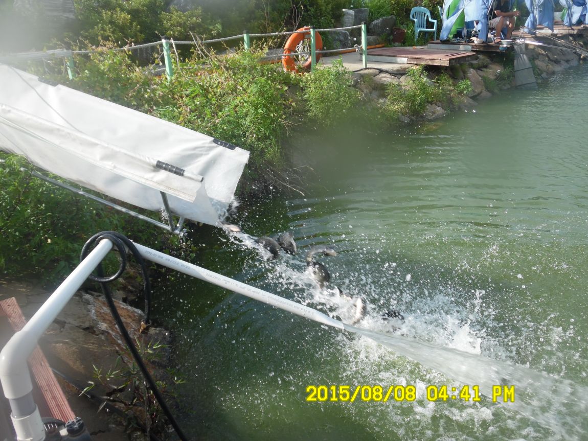 8��7��~9�� 028.JPG