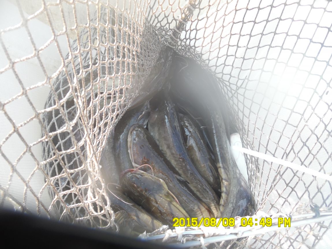 8��7��~9�� 029.JPG