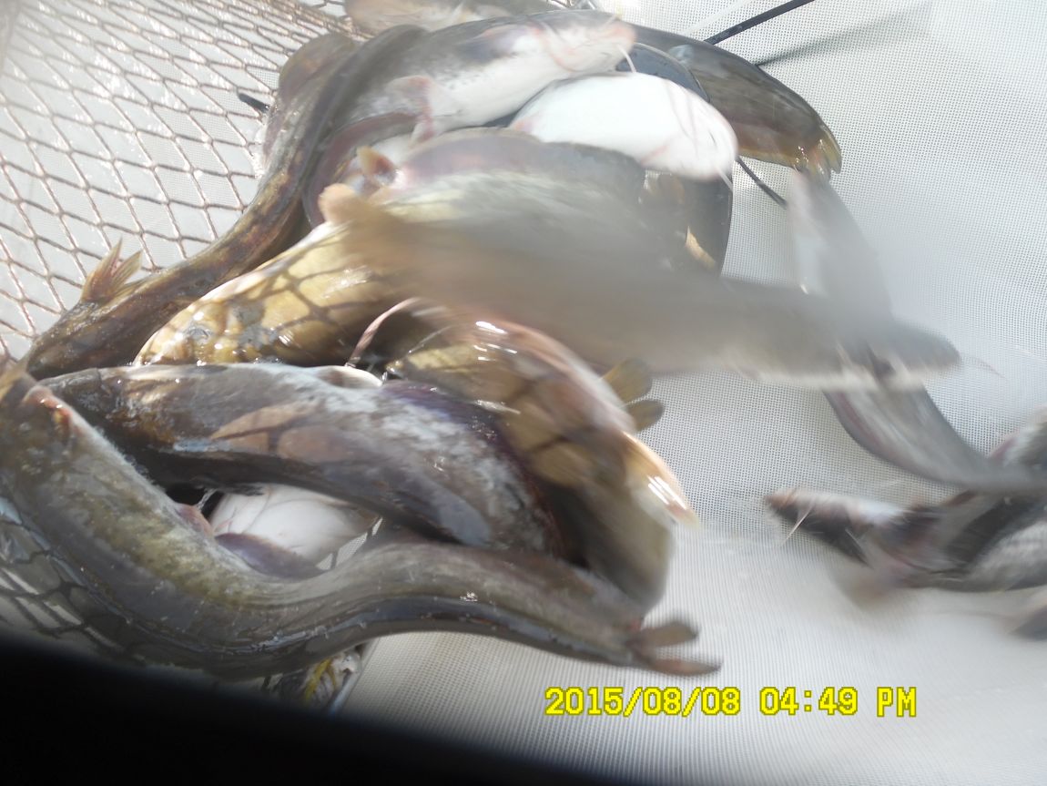 8��7��~9�� 030.JPG