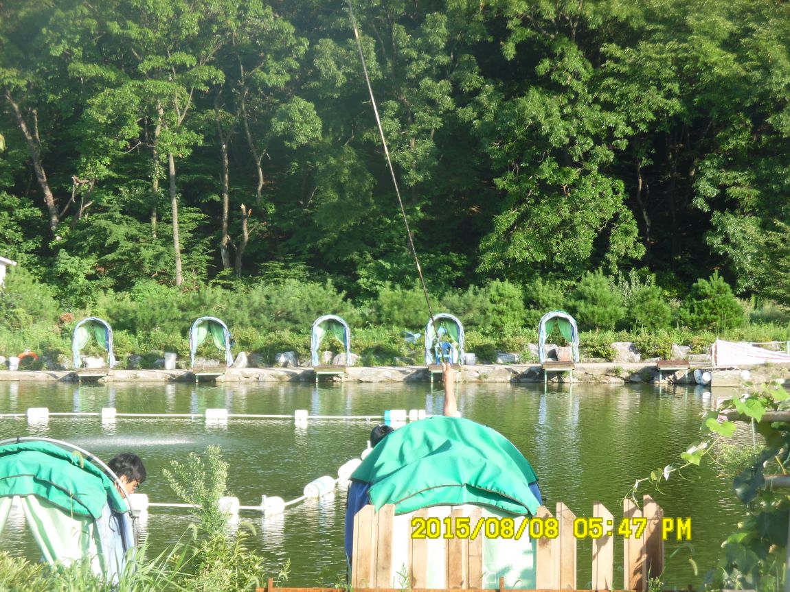 8��7��~9�� 037.JPG