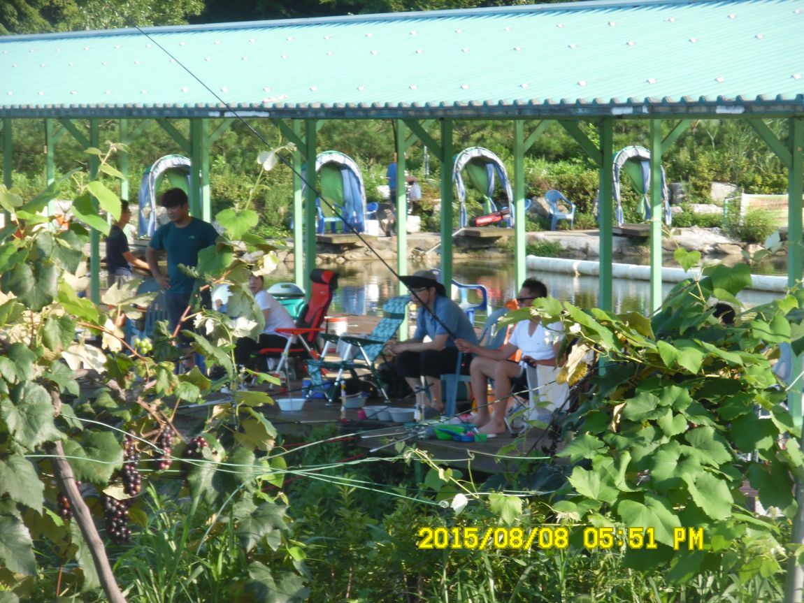 8��7��~9�� 039.JPG