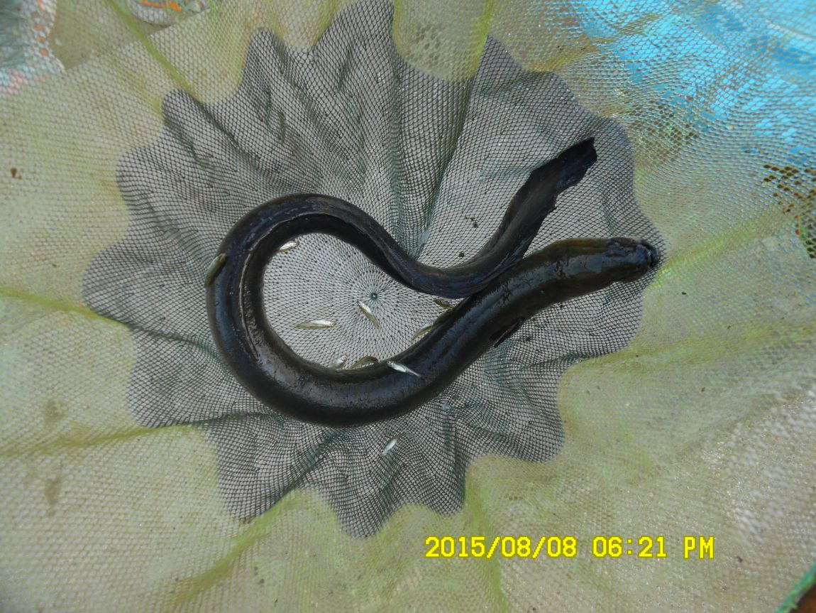 8��7��~9�� 046.JPG