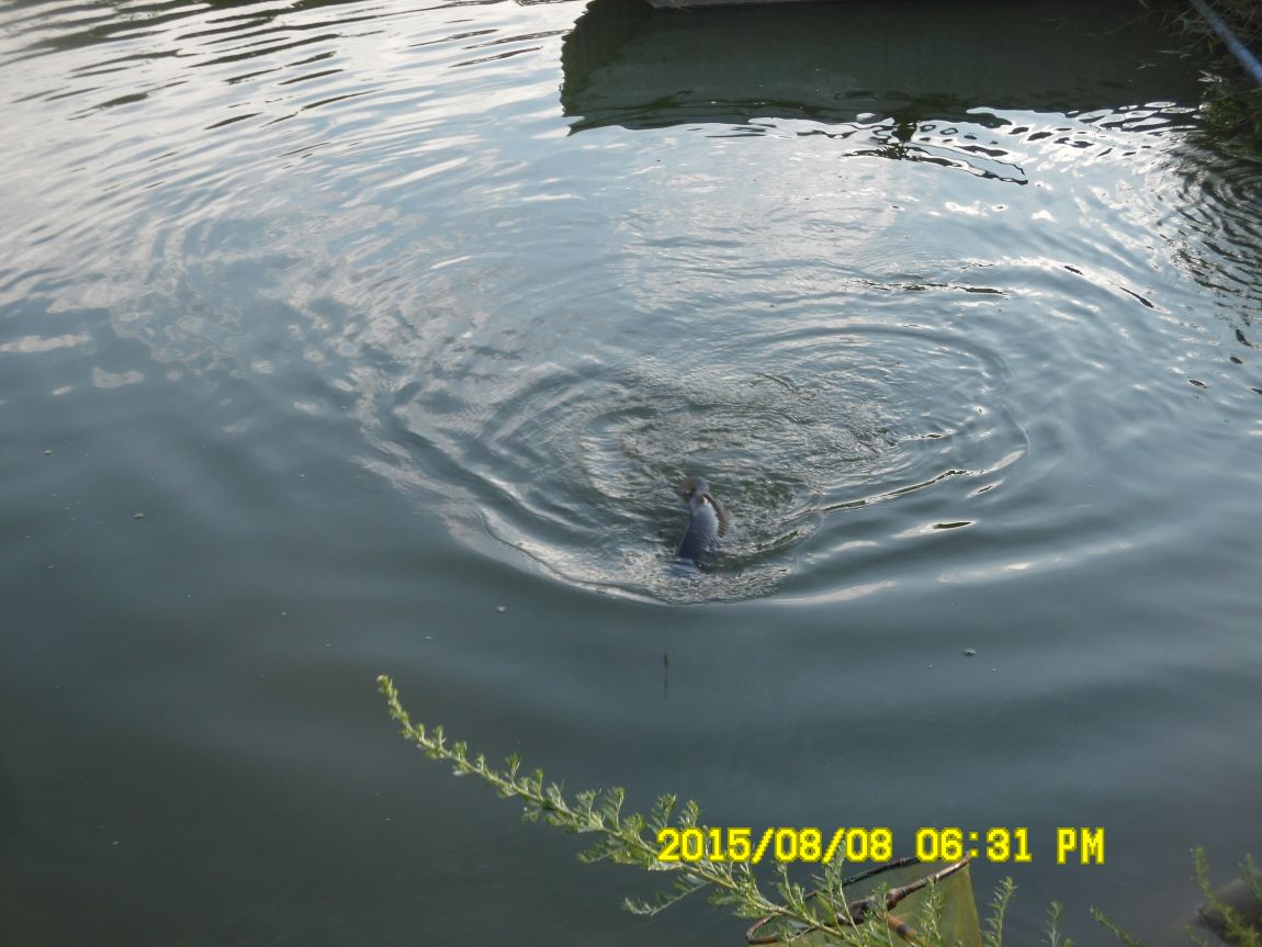 8��7��~9�� 048.JPG