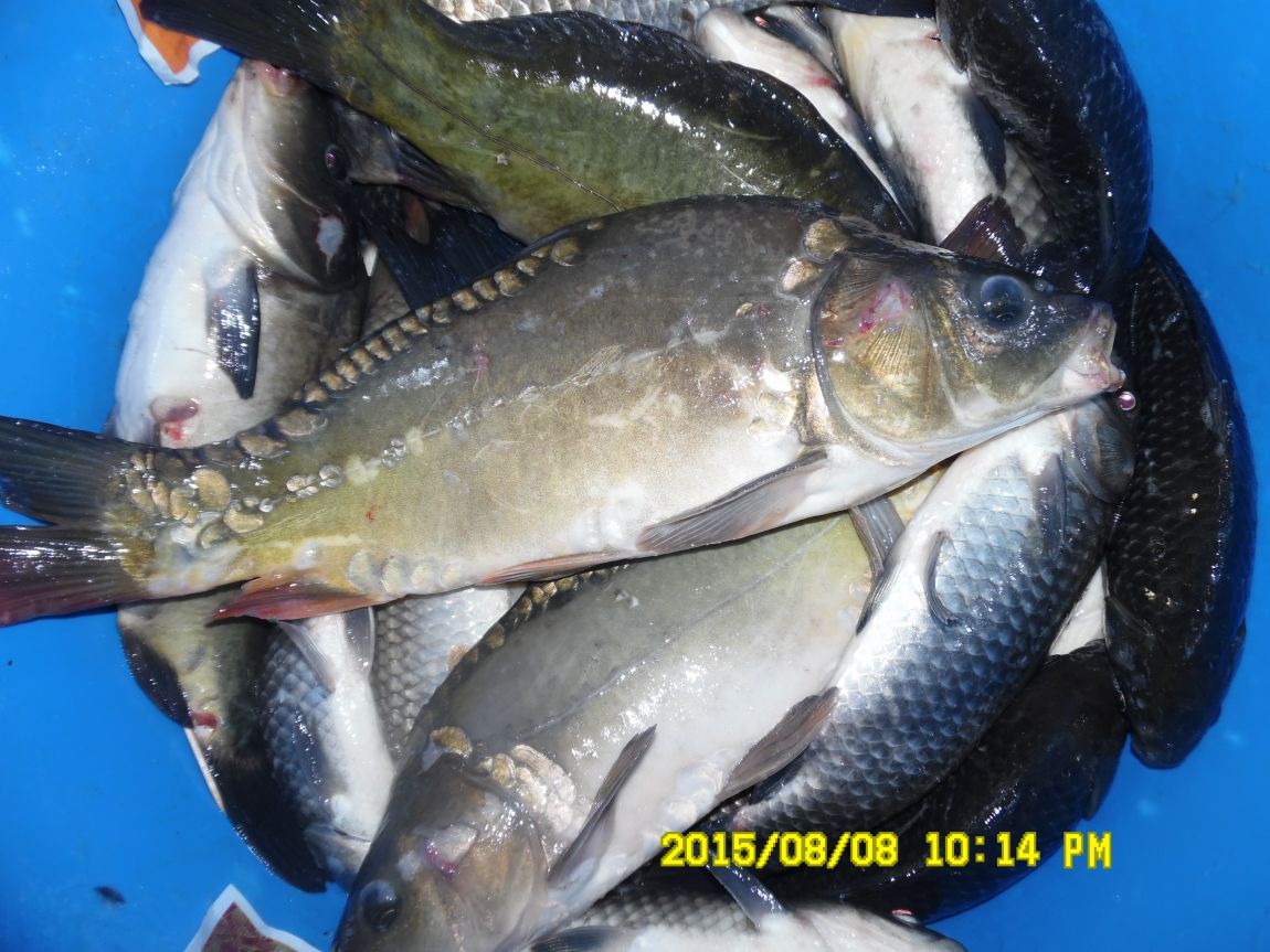 8��7��~9�� 051.JPG