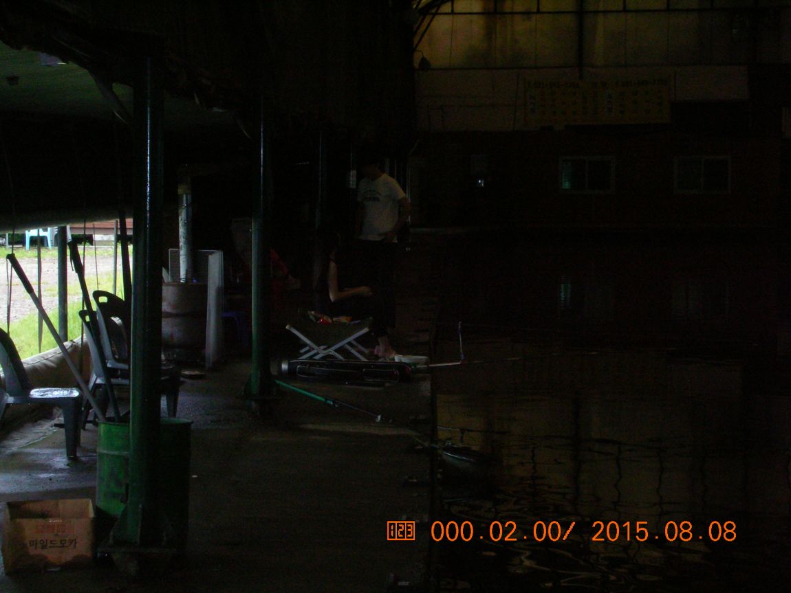 DSCN4101.JPG