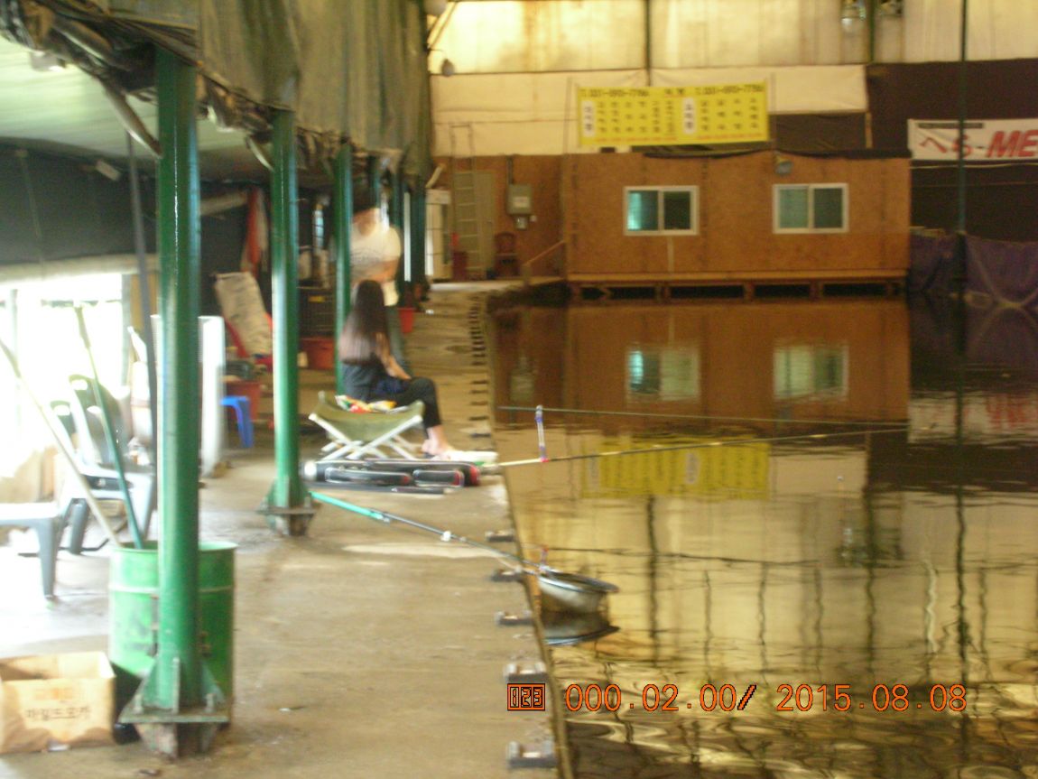 DSCN4102.JPG