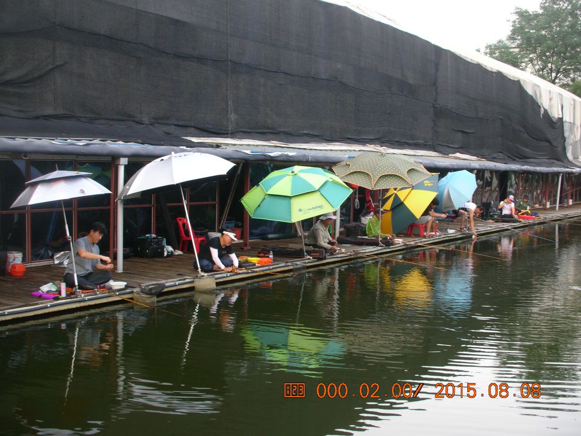 DSCN4105.JPG