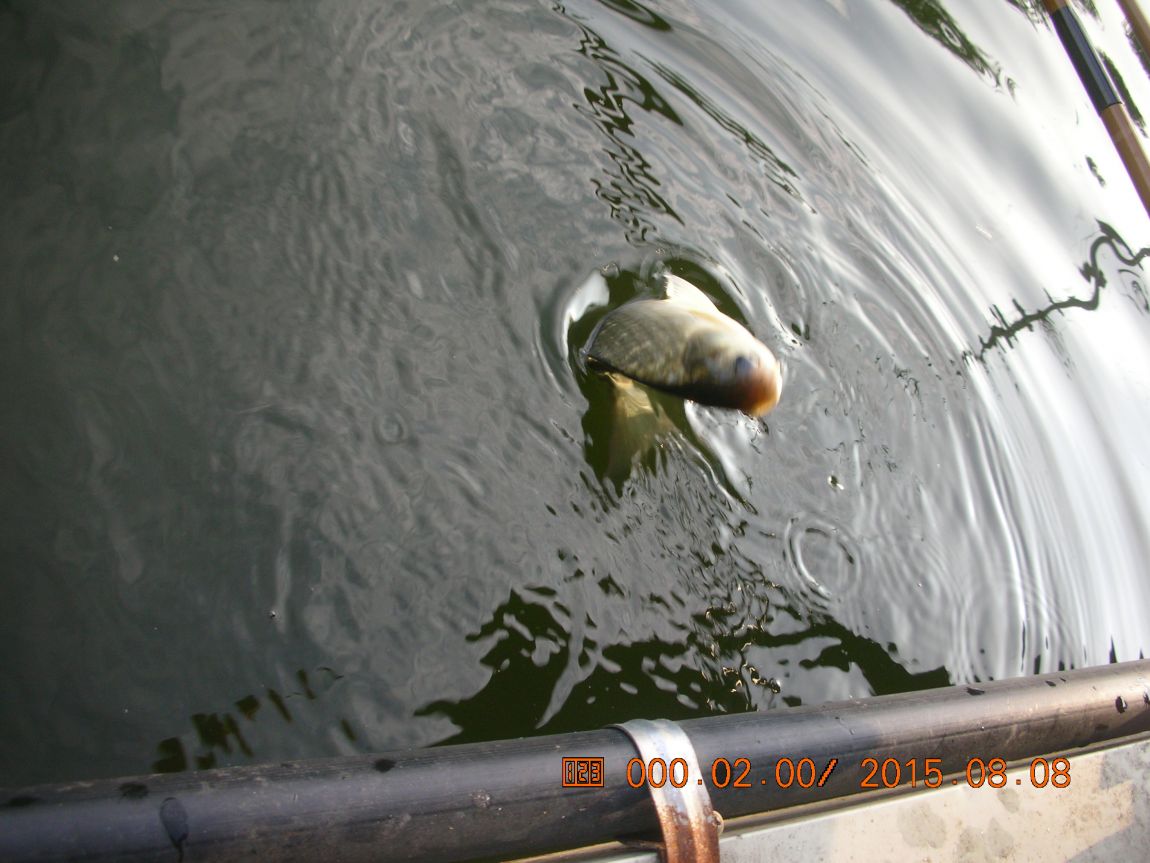 DSCN4113.JPG
