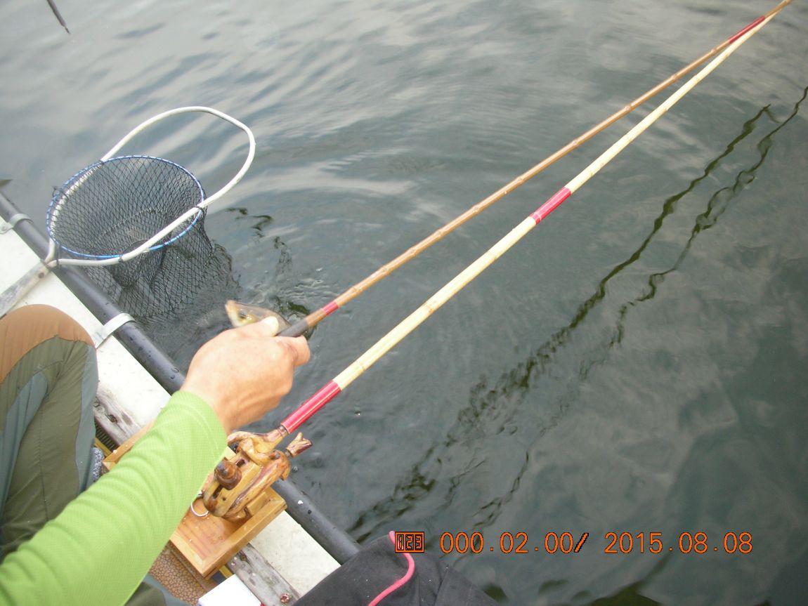 DSCN4115.JPG