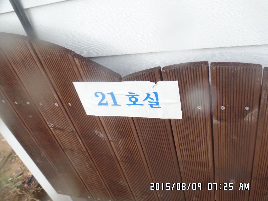SAM_8189.JPG