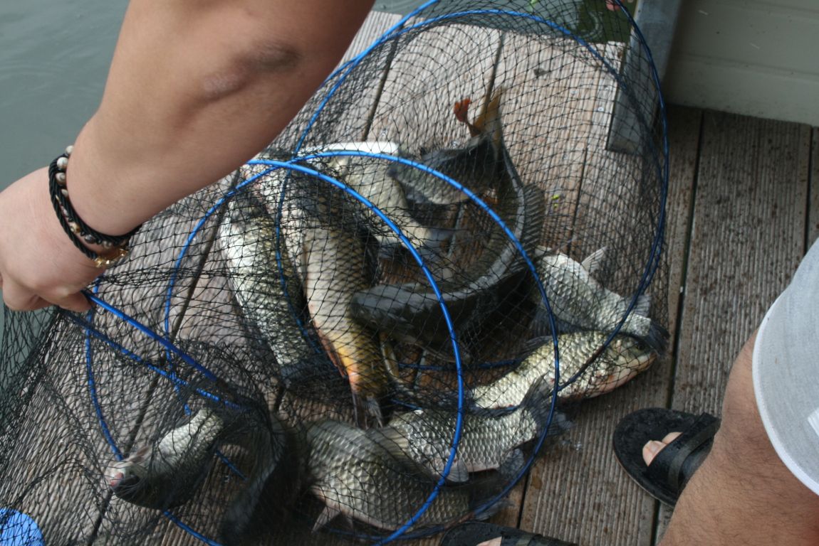 IMG_3517.JPG