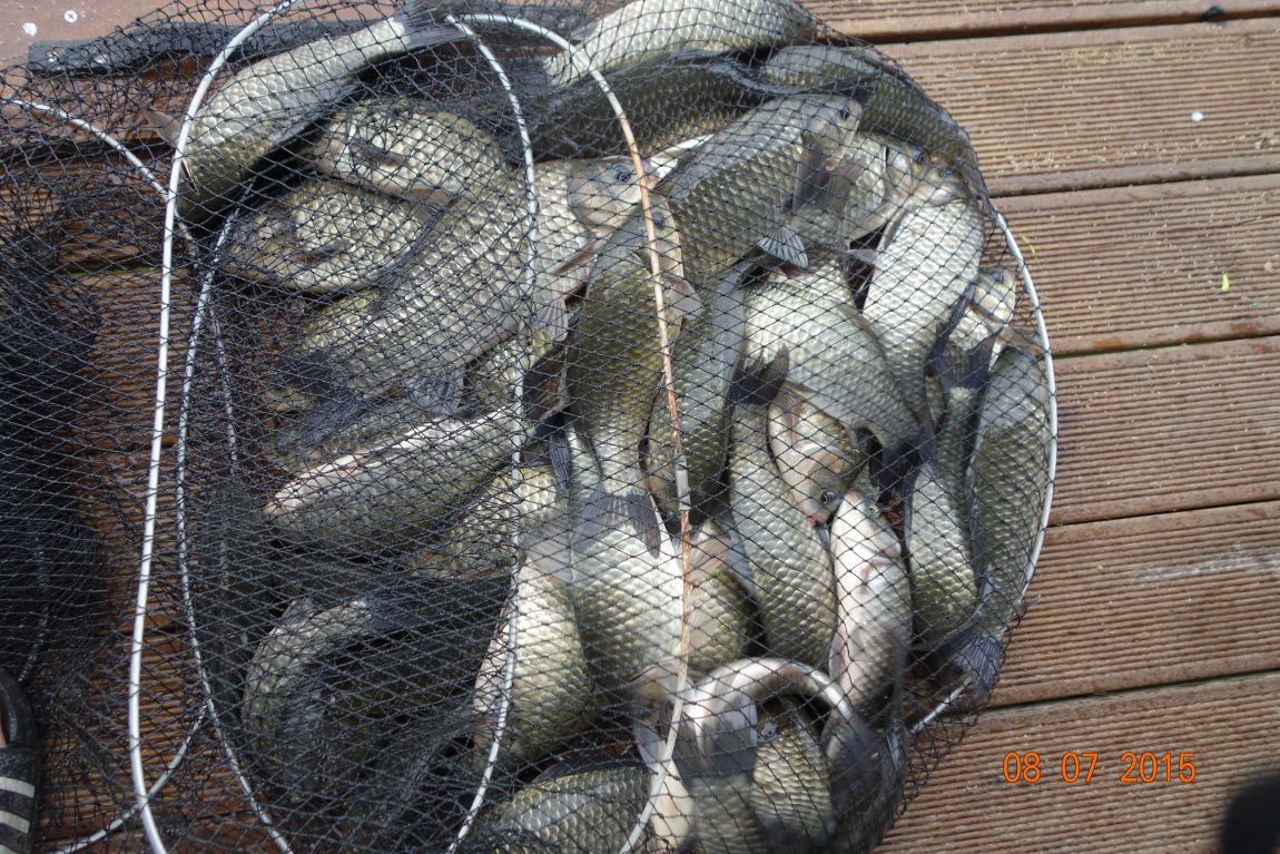 DSC05964.JPG