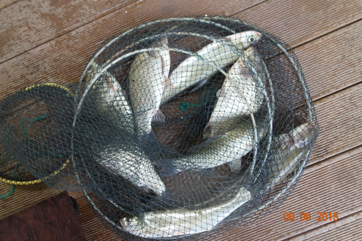DSC06012.JPG