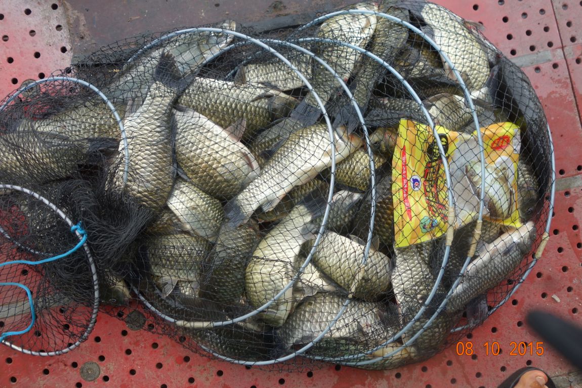 DSC06027.JPG