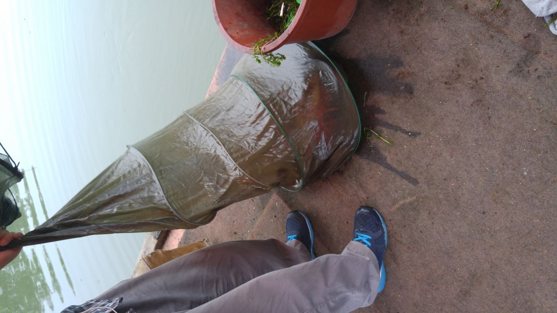 20150810_062356.jpg