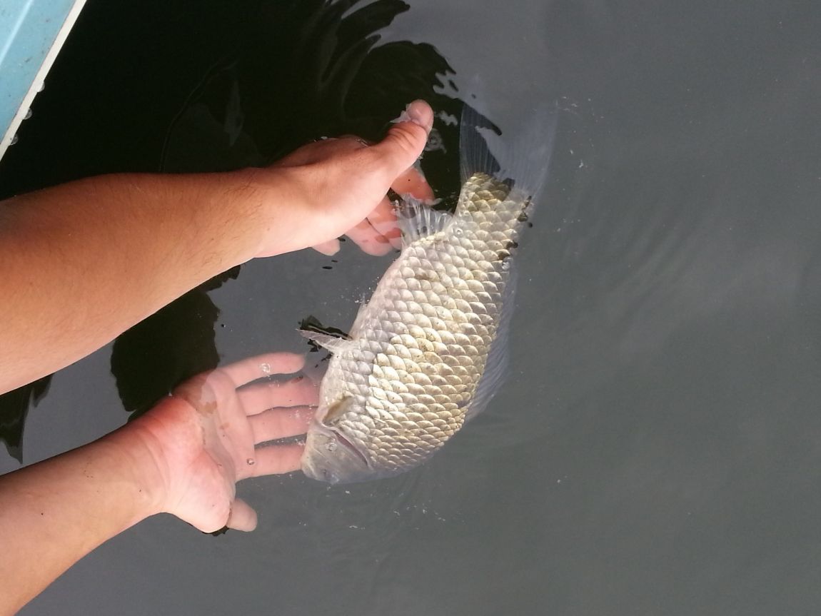 20150810_084725.jpg