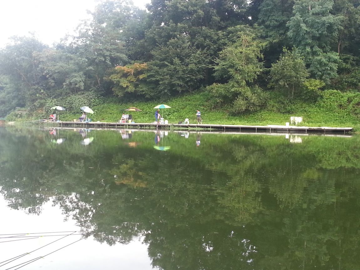 20150808_175350.jpg