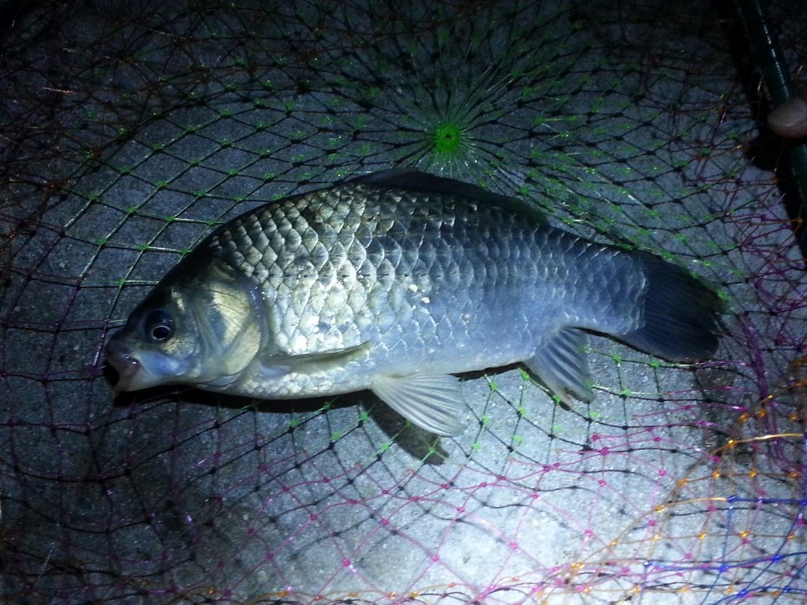 20150808_232720.jpg