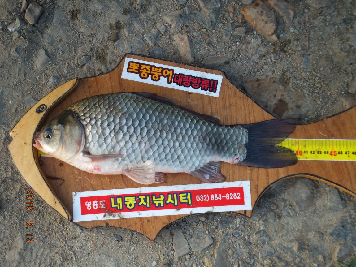 201300703 007.jpg