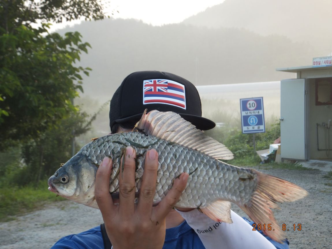 201300703 002.jpg