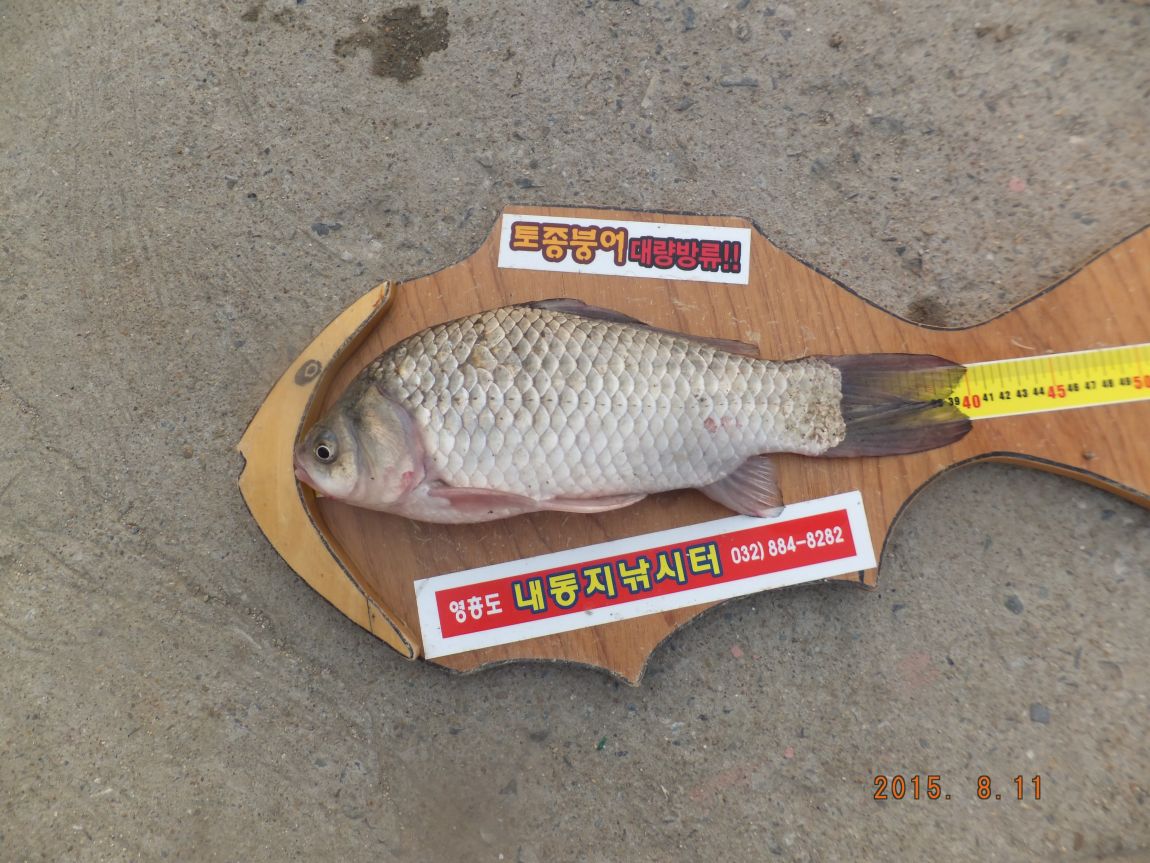 201300703 025.jpg
