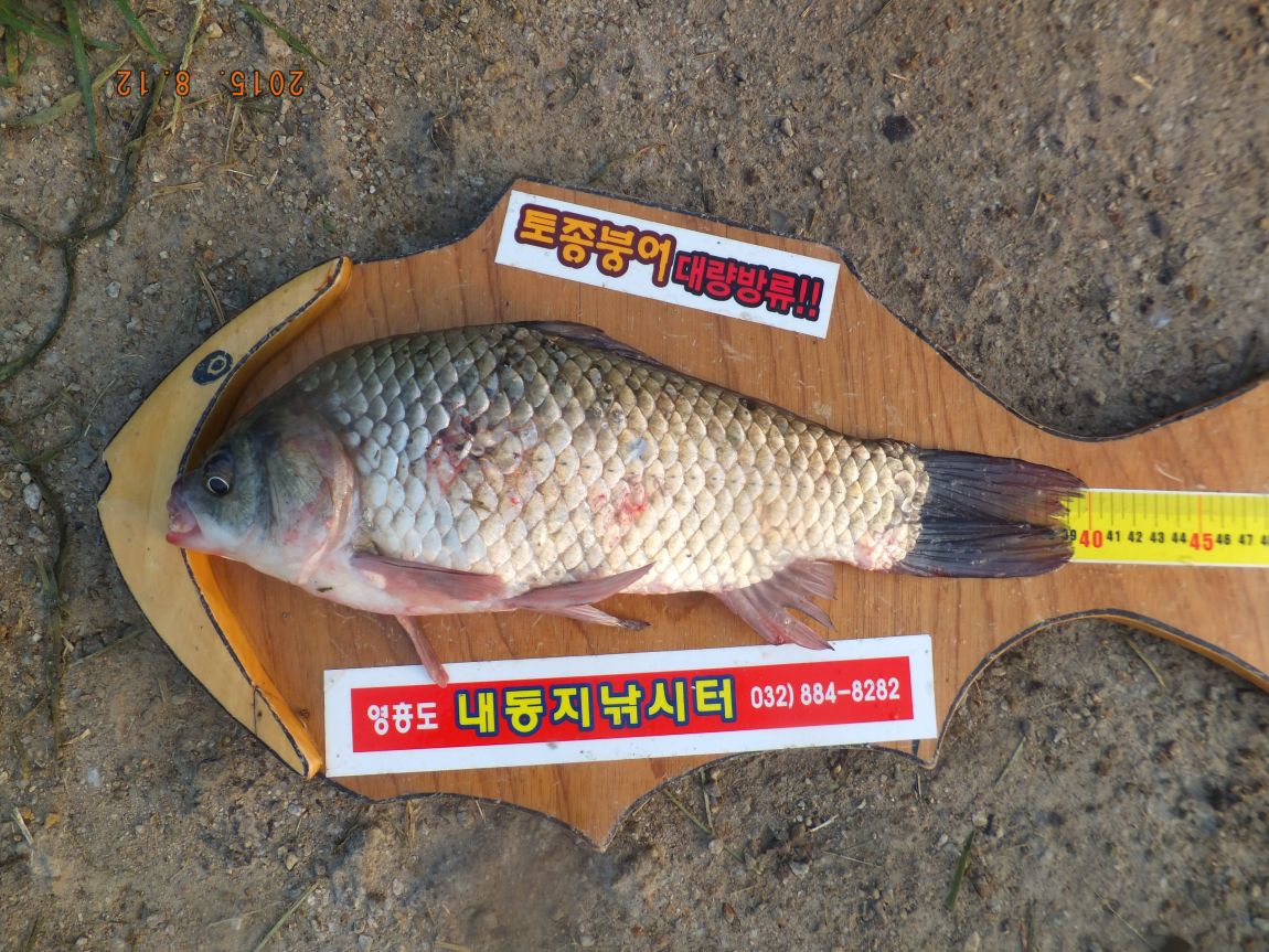 201300703 028.jpg