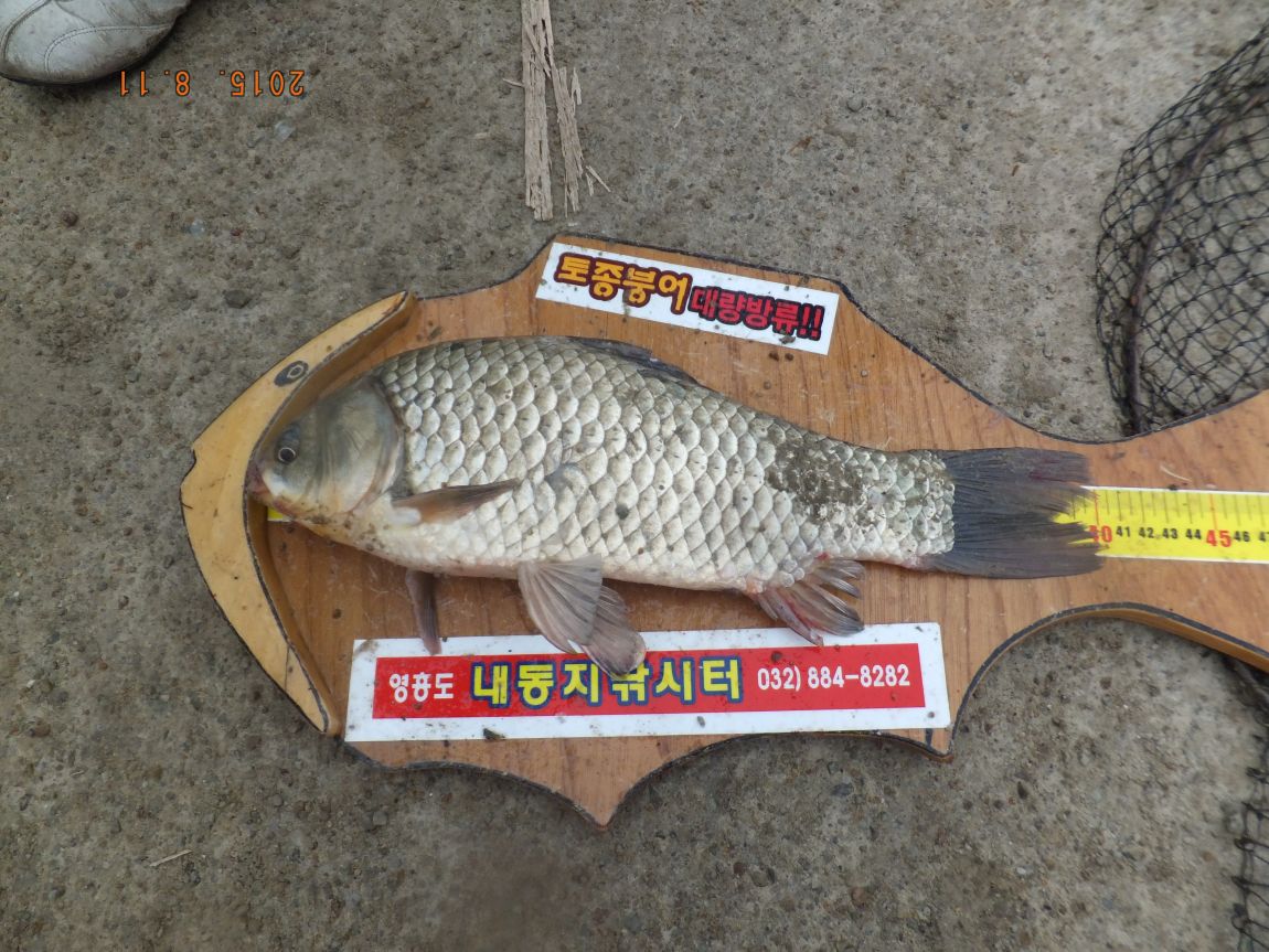 201300703 020.jpg