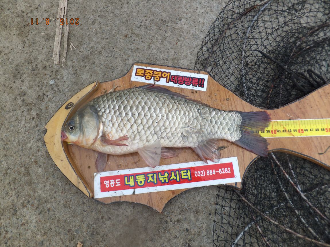 201300703 017.jpg