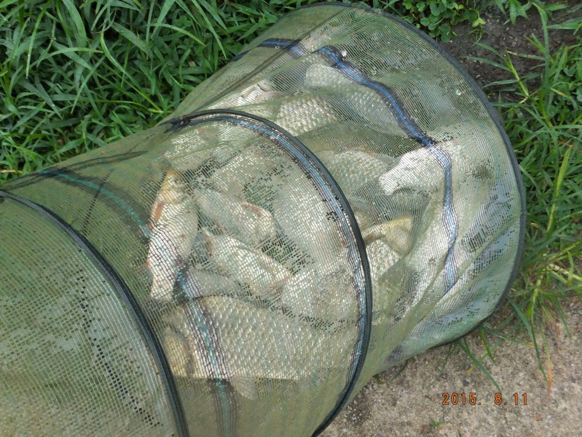 201300703 013.jpg