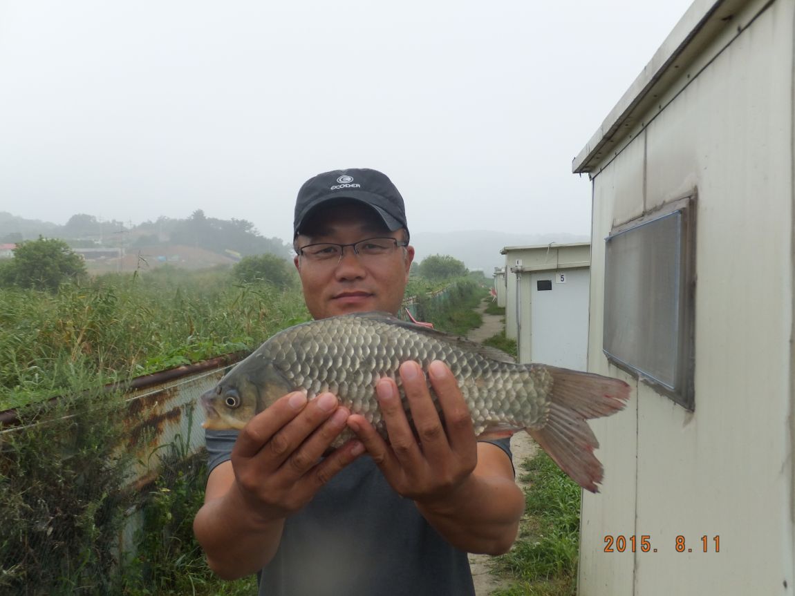 201300703 007.jpg