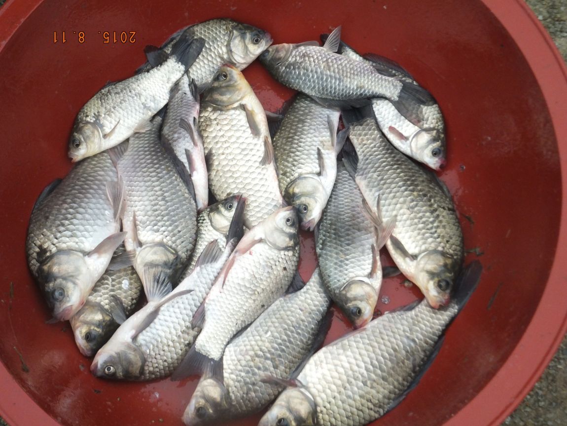201300703 011.jpg