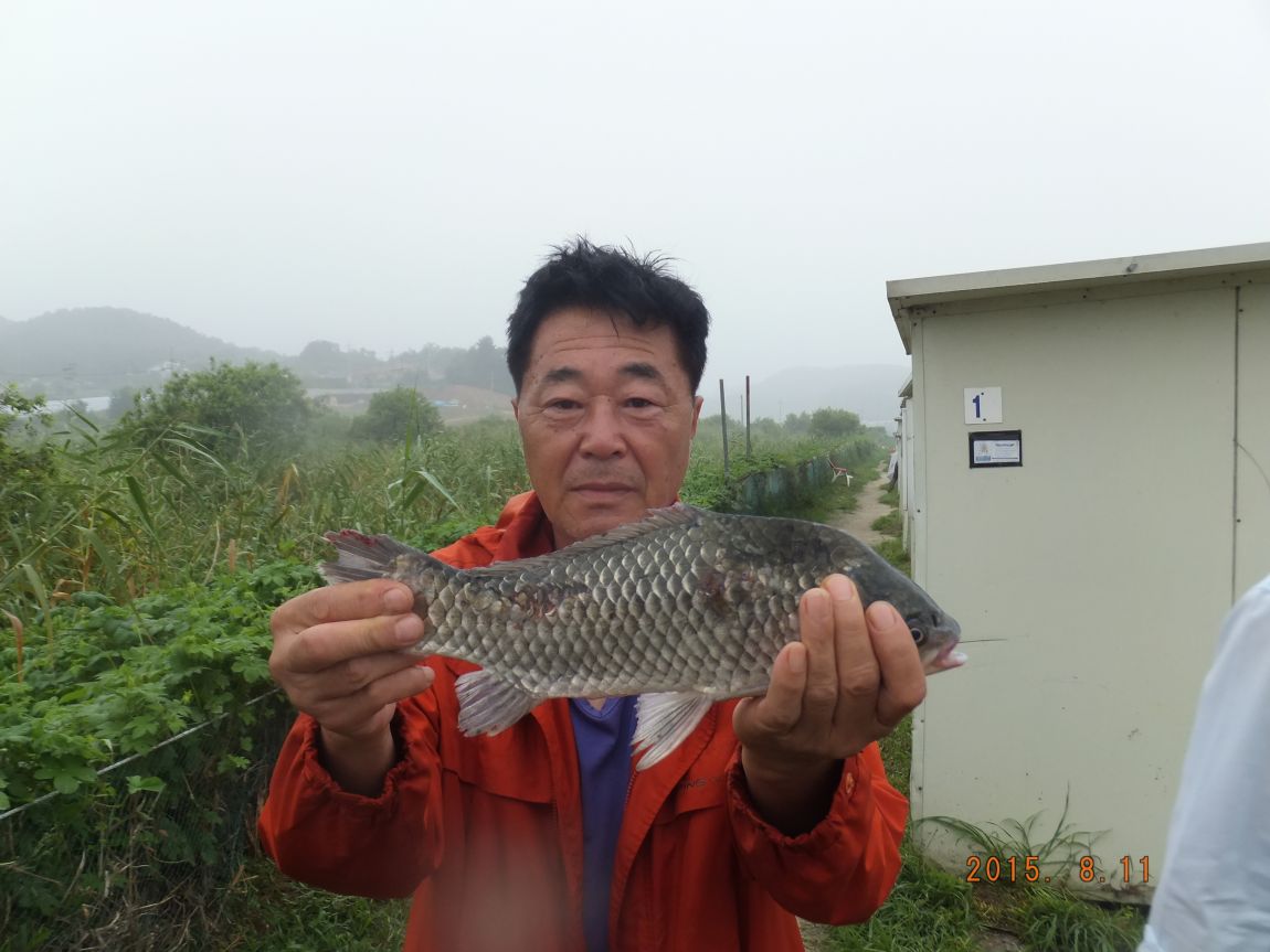 201300703 005.jpg
