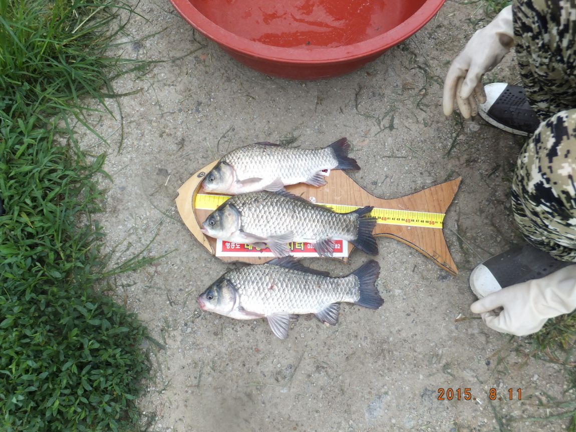 201300703 004.jpg