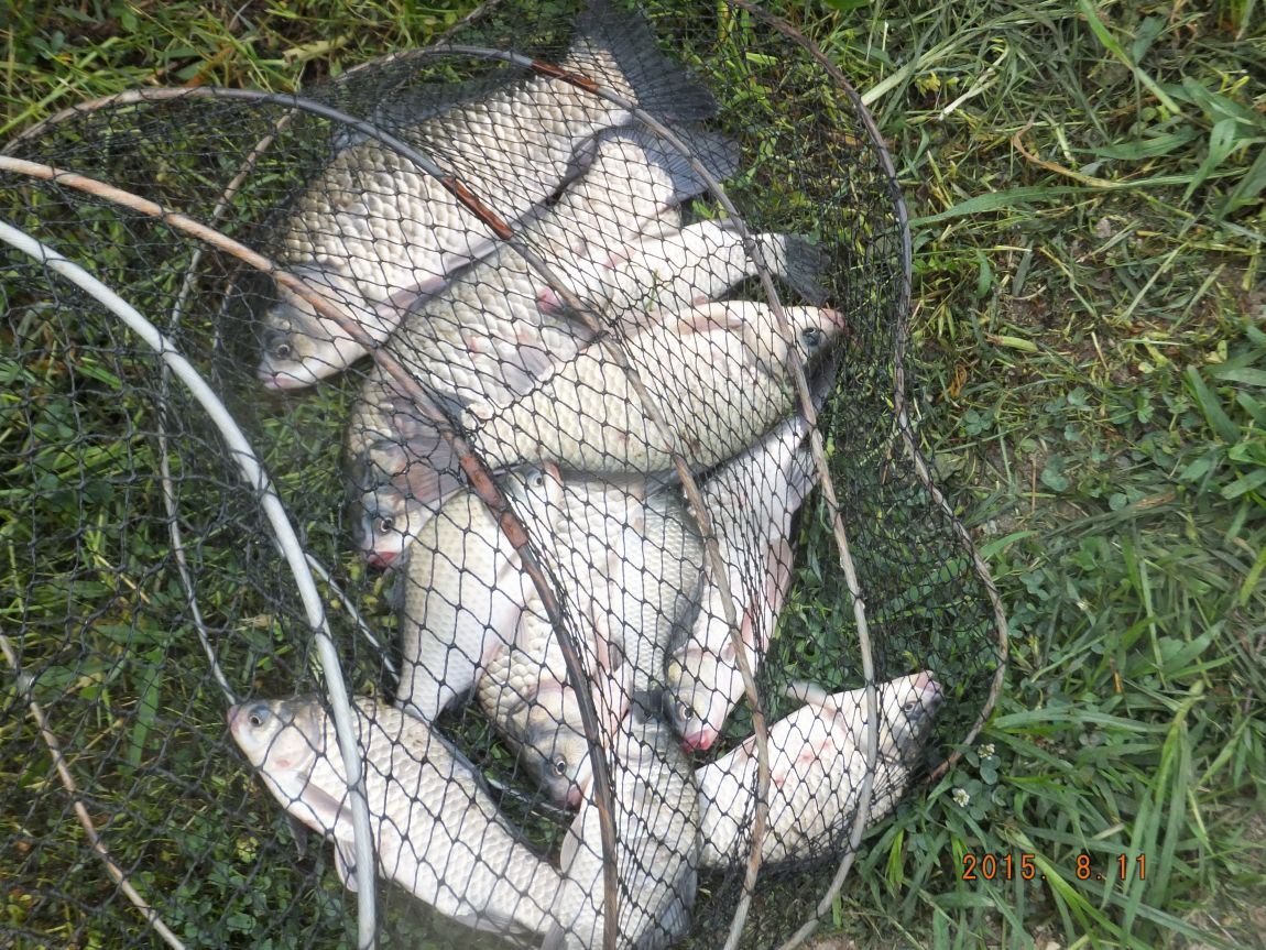201300703 003.jpg