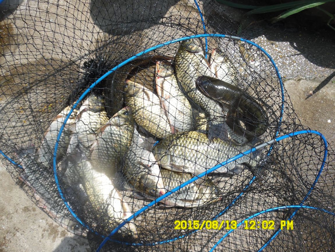 8��11��~13�� 011.JPG