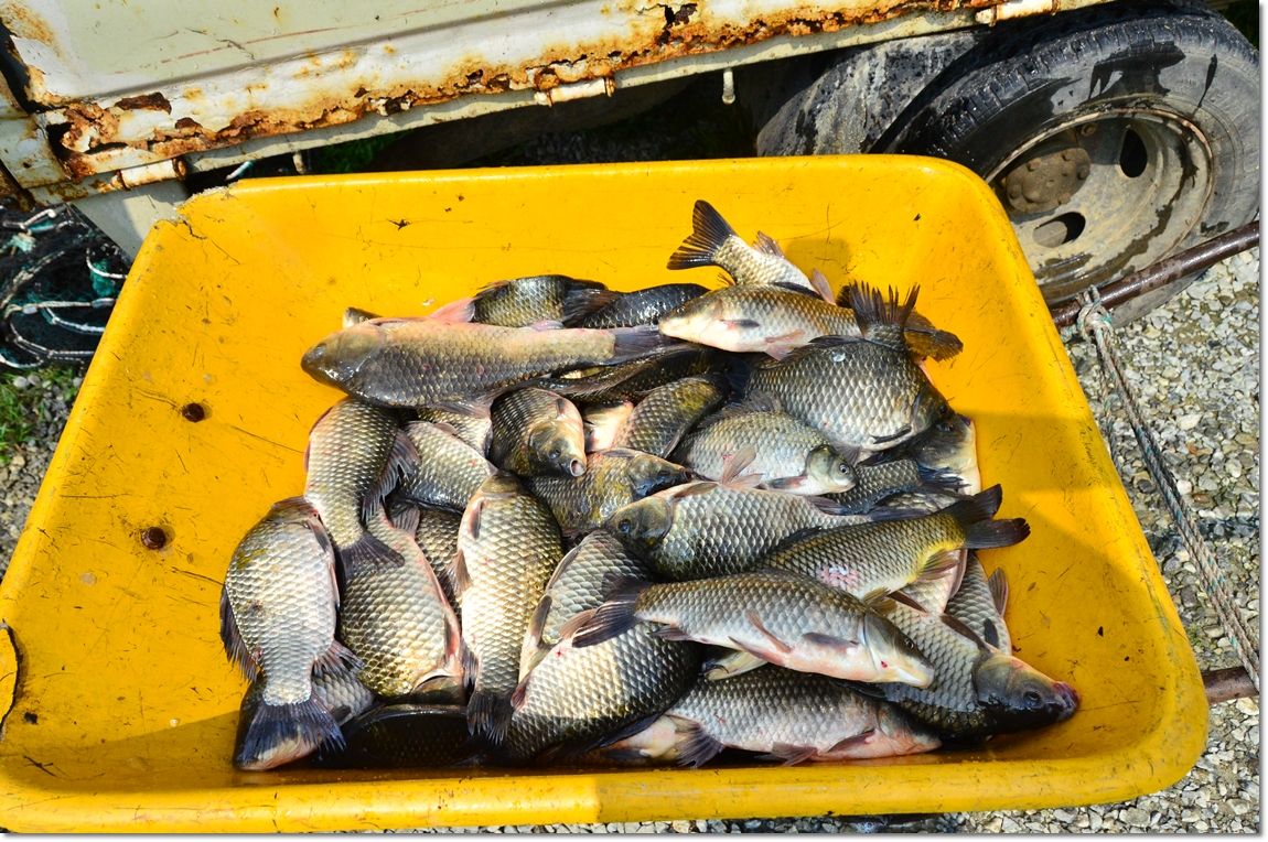 DSC_9745.JPG