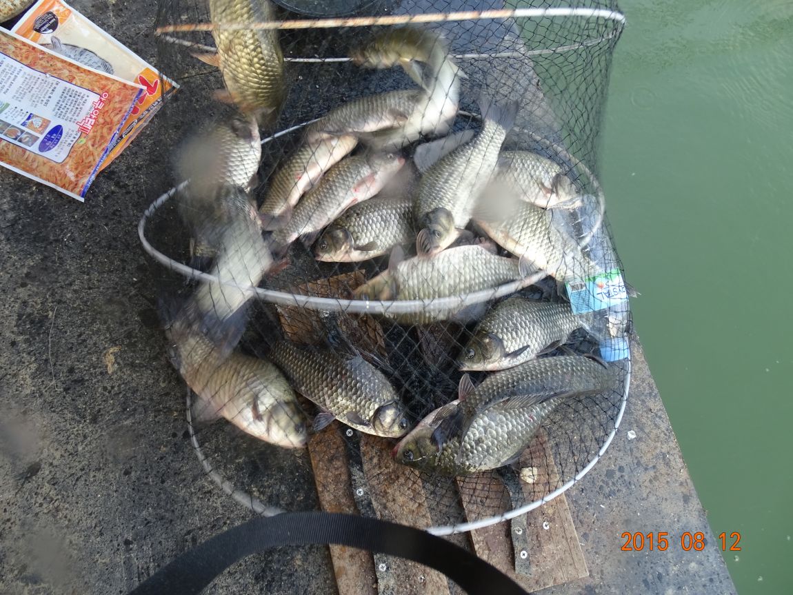DSC01146.JPG