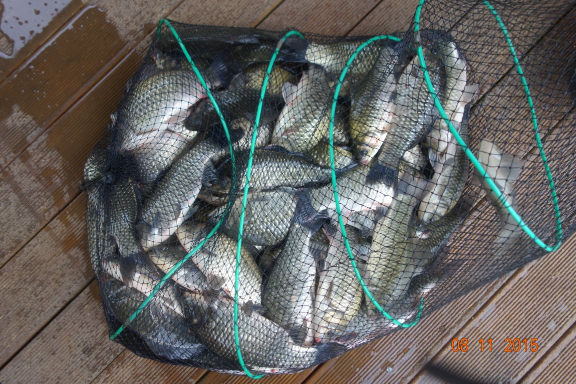 DSC06041.JPG